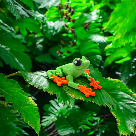 Tree Frogs